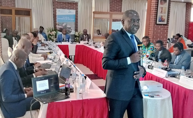 Les INDH d'Afrique Centrale en conclave à Douala
