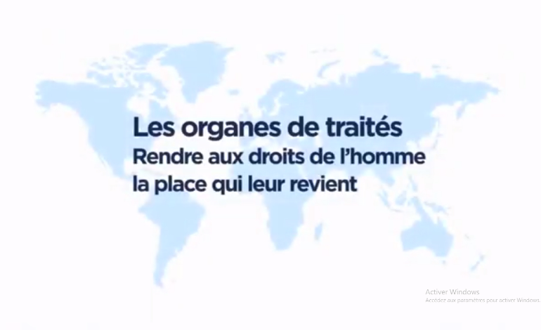 Comprendre l’importance des organes de traités