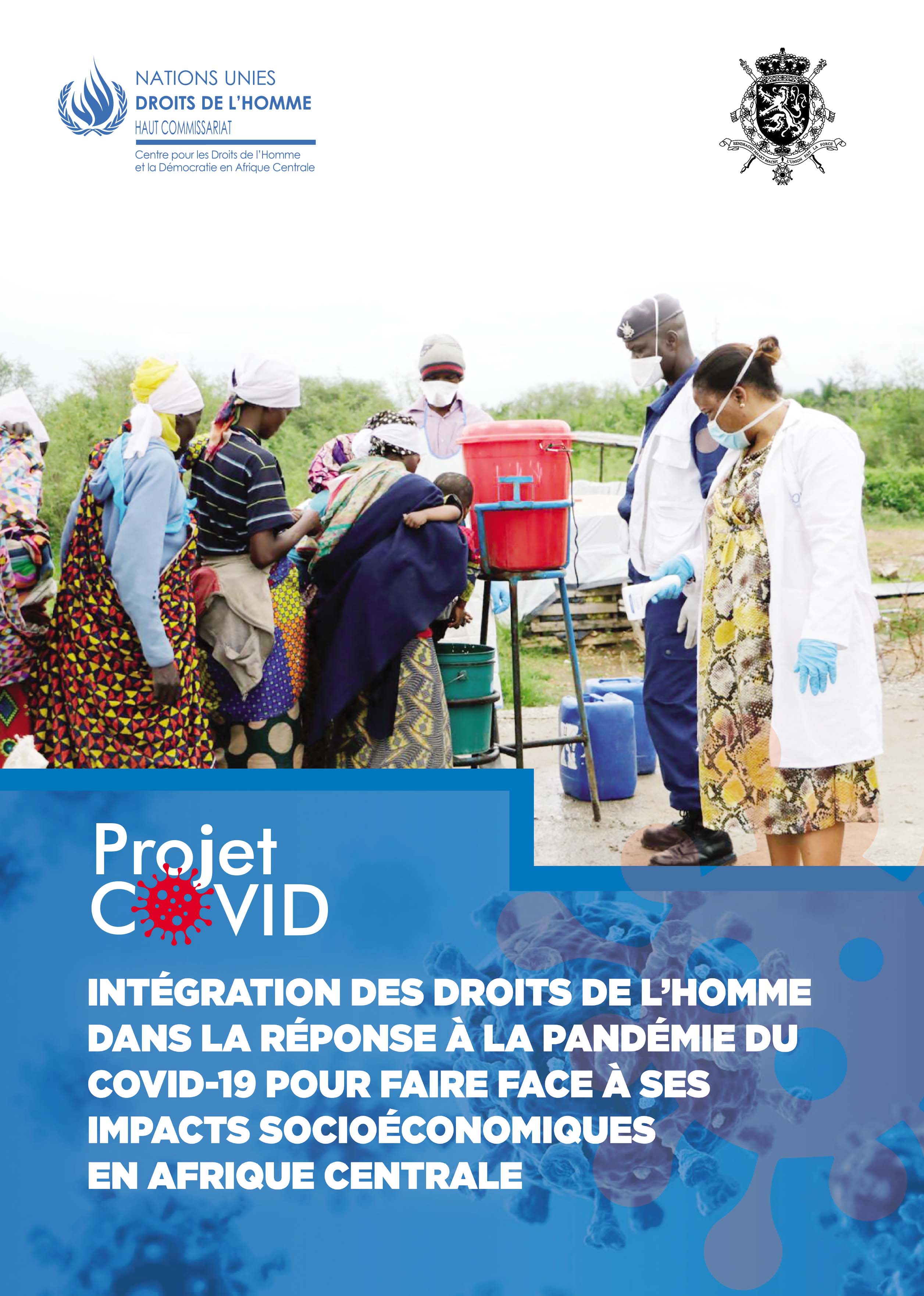 Plaquette de présentation du projet COVID-19